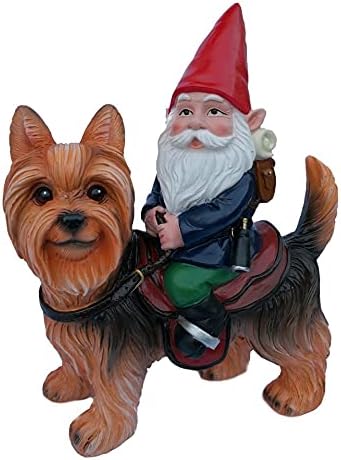 Gnome Riding A Yorkshire Terrior Statue - Indoor or Outdoor Garden Gnome Sculpture for Patio, Yard or Lawn