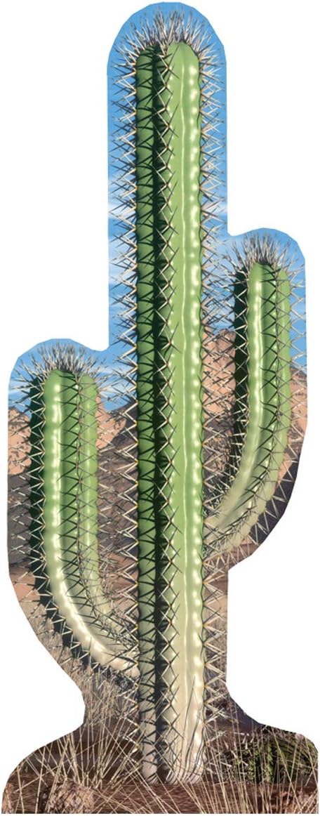 Advanced Graphics Single Cactus Life Size Cardboard Cutout Standup