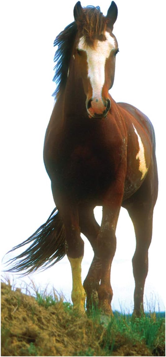 Advanced Graphics Mustang Horse Life Size Cardboard Cutout Standup