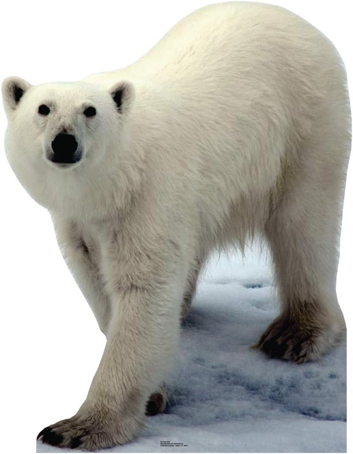 Advanced Graphics Polar Bear Life Size Cardboard Cutout Standup