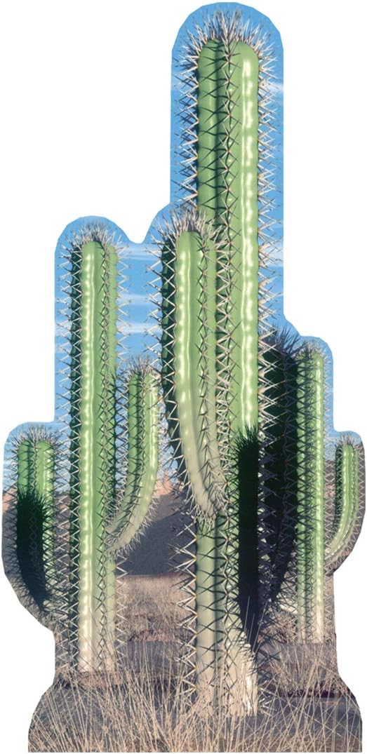 Advanced Graphics Cacti Life Size Cardboard Cutout Standup