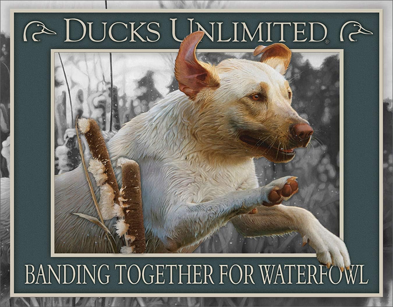 Desperate Enterprises Ducks Unlimited Tin Signs
